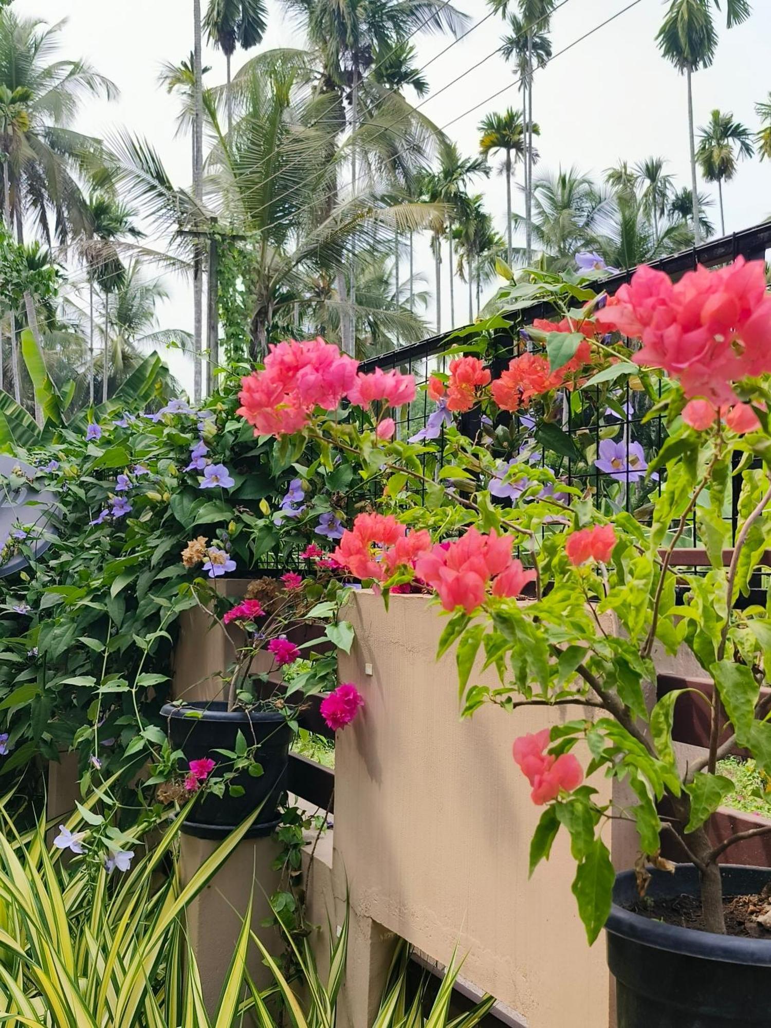 Swasth The Riviera Lovedale Nilambur Room photo